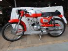 benelli--50cc