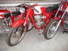 capriolo-tv-125cc