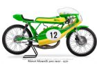 motori-minarelli--racer-50cc