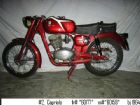 capriolo-125-cc-motor